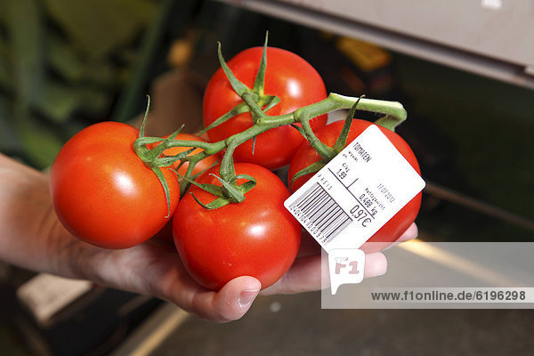 Tomatoes  food hall  supermarket  Germany  Europe