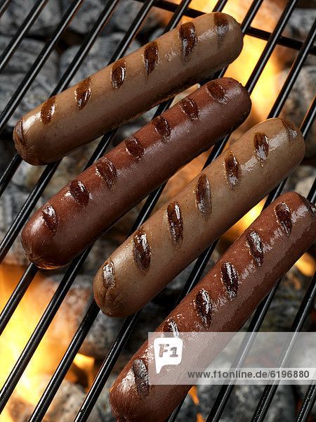 Hot Dog  Hot Dogs  Grill