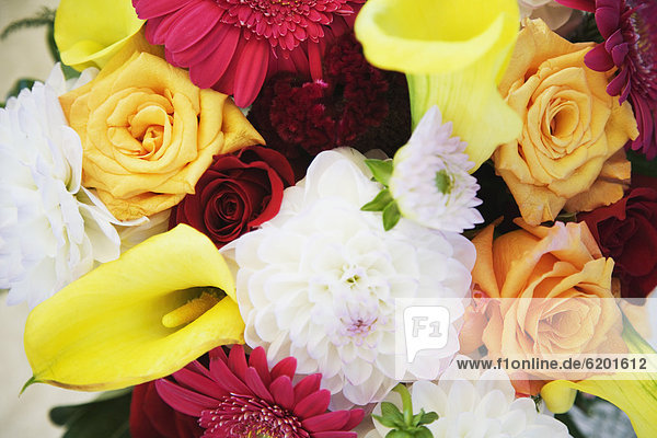 hoch oben nahe Blumenstrauß Strauß Blume