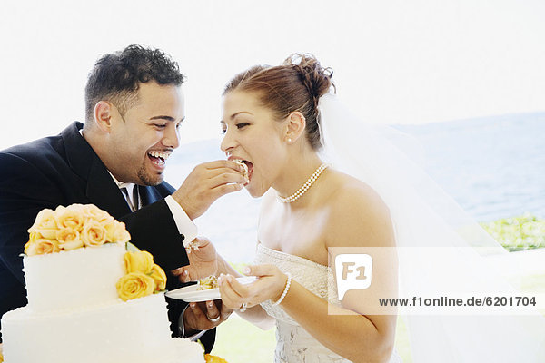 Braut Bräutigam Kuchen multikulturell essen essend isst