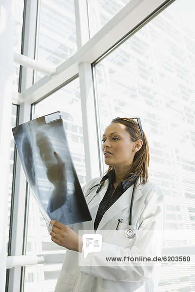 unterhalten  Arzt  Röntgenbild