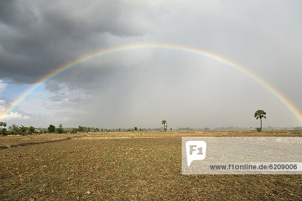 Regenbogen über Feld
