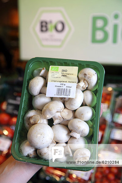 Champignons aus Bio-Anbau in einer Klarsichtverpackung  Lebensmittelabteilung  Supermarkt  Deutschland  Europa