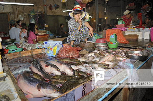 Fischverkäuferin hockt inmitten des zu verkaufenden Fisches auf dem Alten Markt in Siam Reap  Kambodscha  Südostasien  Asien