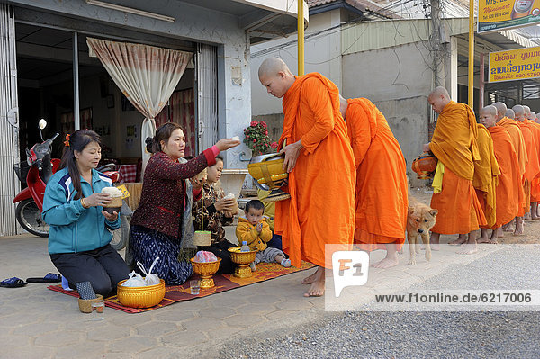 Buddhistische Bettelmönche erhalten ihre Spende von Anwohnern am ganz frühen Morgen auf der Hauptstraße in der Stadt Phonsavan  Laos  Südostasien  Asien