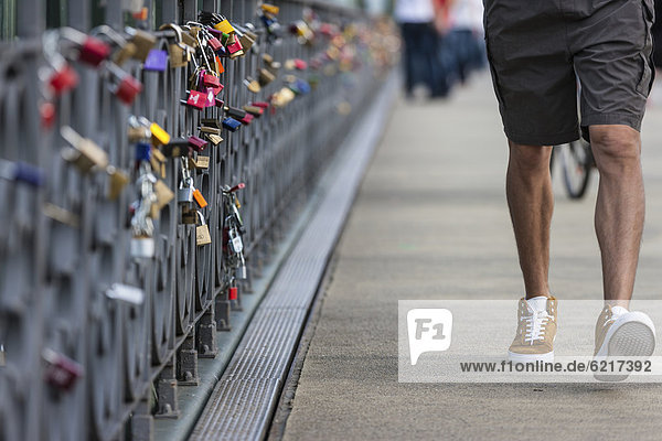 Love padlocks  Eiserner Steg footbridge  Frankfurt am Main  Hesse  Germany  Europe  PublicGround