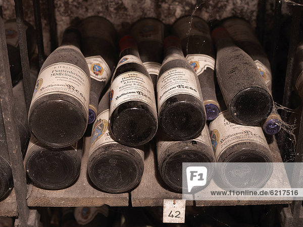 Dusty vintage wine bottles are stored in a wine cellar  Hattenheim  Rheingau region  Hesse  Germany  Europe