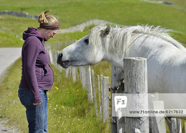 Weißes Pferd beschnuppert schwangere Frau  Sutherland  schottische Highlands  Schottland  Vereinigtes Königreich  Europa