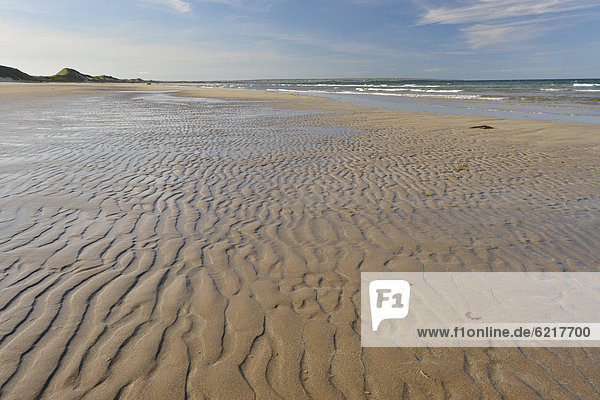 Sandy beach on the north coast of Scotland  Sinclair Bay  Freswick  John o' Groats  Scotland  United Kingdom  Europe
