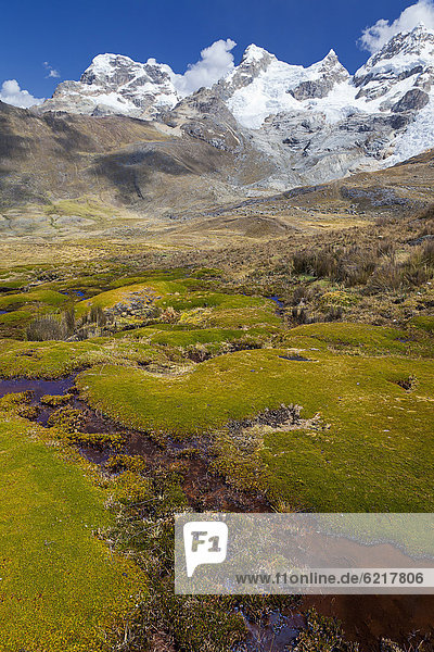 Mossy landscape  Cordillera Huayhuash mountain range  Andes  Peru  South America