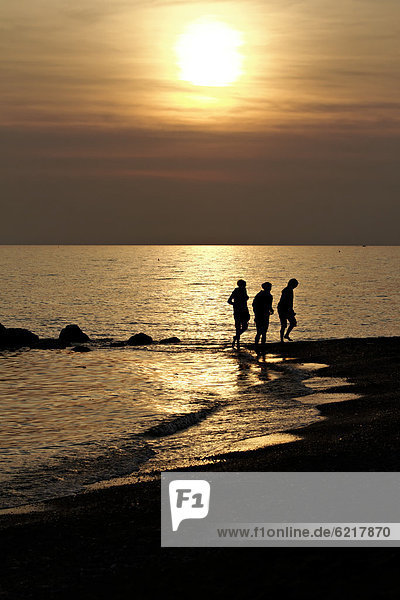 Silhouette of people on a beach at sunset  Cecina Mare  Tuscany  Italy  Europe