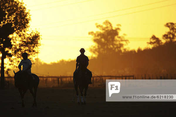 Zwei Polo-Spieler reiten im Sonnenuntergang  Pilar  Argentinien  Südamerika