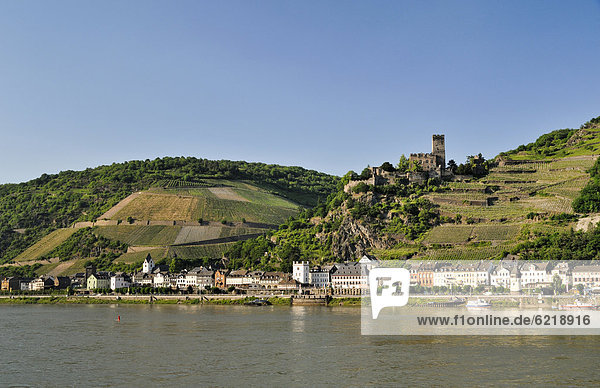Burg Gutenfels oberhalb von Kaub  Unesco Weltkulturerbe Oberes Mittelrheintal  Rheinland-Pfalz  Deutschland  Europa