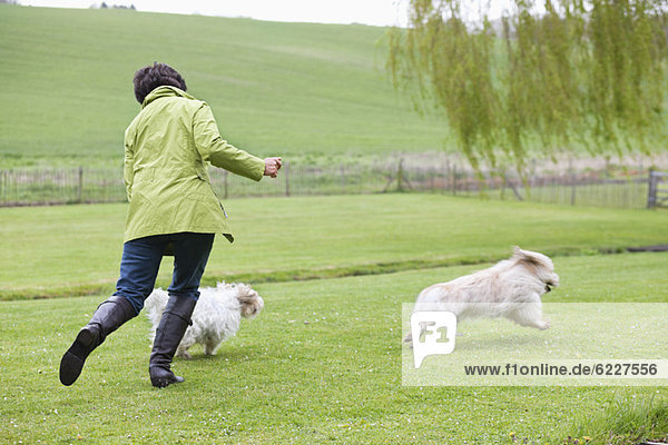 Frau spielt mit zwei Hunden auf einem Feld