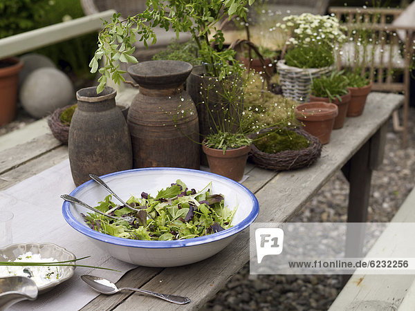 Holztisch Stilleben still stills Stillleben Accessoire Salat Dekoration Garten umgeben alt Romantik