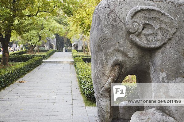 Stein  Fernverkehrsstraße  Statue  Elefant  China  UNESCO-Welterbe  Asien  Jiangsu  Nanjing