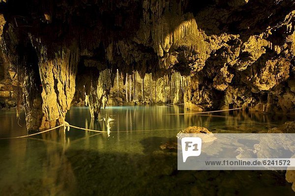 Cenote Dzitnup  underground sinkholes which has only one natural source of light  Yucatan  Mexico  North America