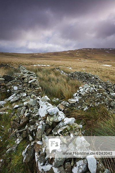 Steinmauer  Europa  Winter  Großbritannien  über  Tal  trocken  Vernichtung  Brecon Beacons National Park  Powys  Wales