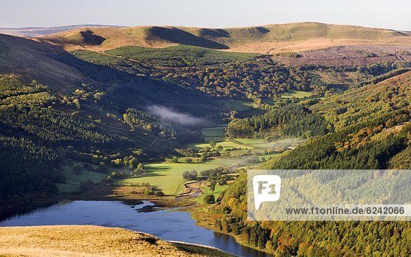 Europa  Großbritannien  Tal  Leuchtturm  Powys  Stausee  Wales