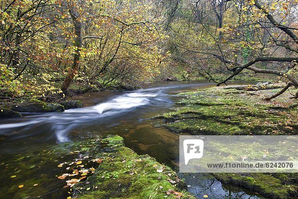 nahe  Landschaftlich schön  landschaftlich reizvoll  Europa  Großbritannien  Fluss  Herbst  Brecon Beacons National Park  Powys  Wales