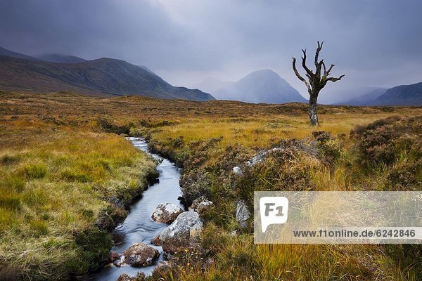 Europa Großbritannien Landschaftlich schön landschaftlich reizvoll Highlands Moor Schottland