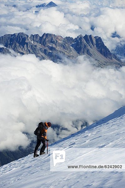 Climber on snow field  view from Mont Blanc  Chamonix  French Alps  France  Europe