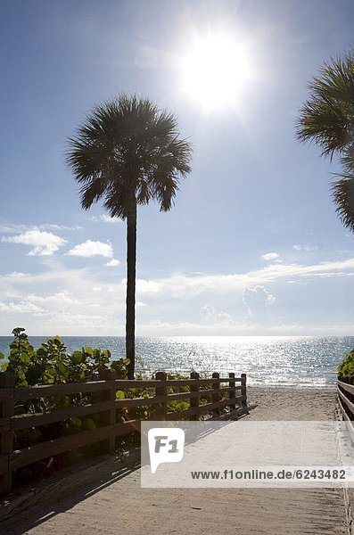 Vereinigte Staaten von Amerika  USA  Nordamerika  Atlantischer Ozean  Atlantik  Florida  Miami Beach