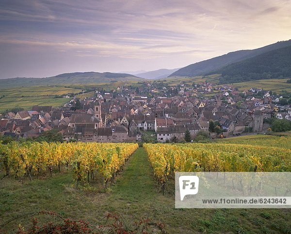 Mittelalter  Frankreich  Europa  Wein  Fernverkehrsstraße  Dorf  Elsass  Riquewihr