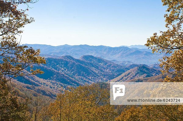 Vereinigte Staaten von Amerika  USA  Sommer  über  Tal  bunt  Indianer  Nordamerika  Ansicht  Great Smoky Mountains Nationalpark  UNESCO-Welterbe  Laub  Tennessee