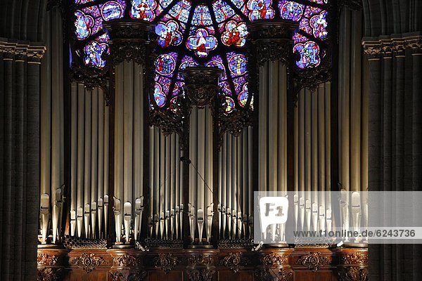 Paris  Hauptstadt  Frankreich  Europa  Kathedrale  Führung  Anleitung führen  führt  führend