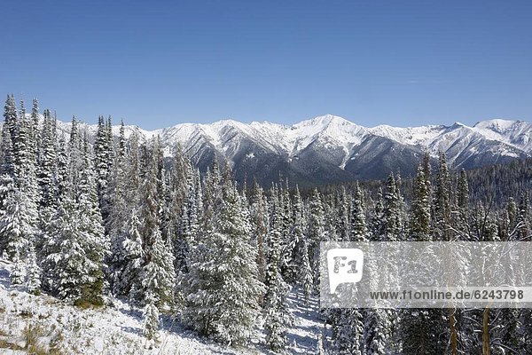 Vereinigte Staaten von Amerika  USA  Berg  Winter  Nordamerika  Rocky Mountains  Idaho  Schnee
