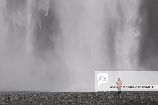 Frau  Bewunderung  groß  großes  großer  große  großen  Wasserfall  jung  Skógafoss  Island