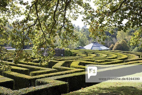 spiralförmig  spiralig  Spirale  Spiralen  spiralförmiges   Europa  Palast  Schloß  Schlösser  Großbritannien  Garten  England  Kent  Leeds  Labyrinth