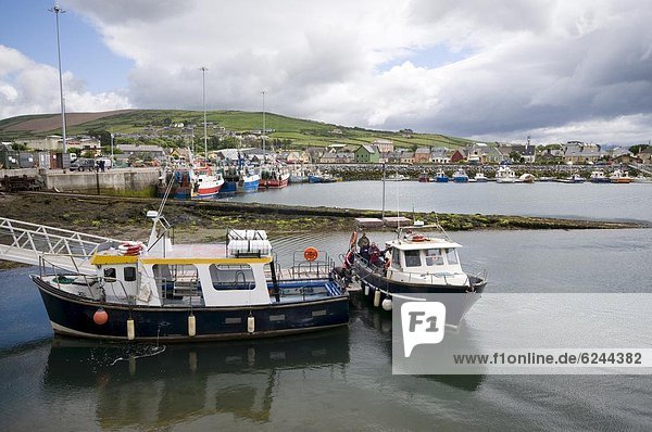Dingle Harbour with fishing boats  Dingle  County Kerry  Munster  Republic of Ireland  Europe
