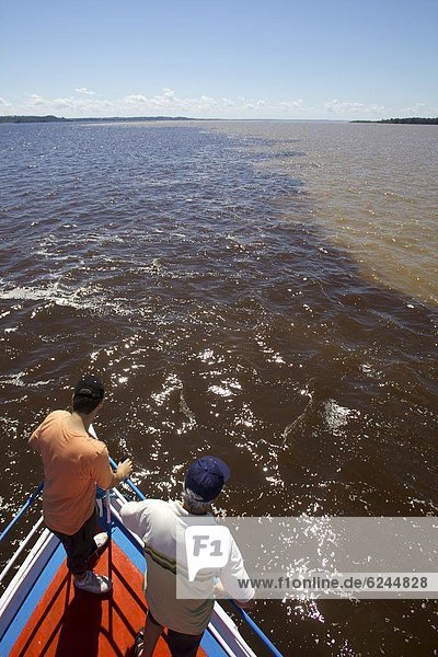 On the water line  at the junction of Rio Negro et Rio Amazonia  Amazon  Brazil  South America