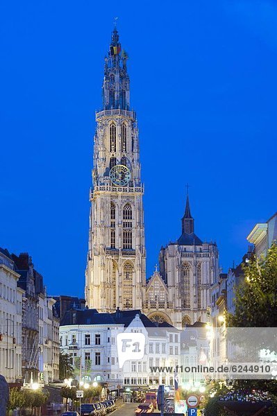 beleuchtet  Europa  Nacht  Antwerpen  Belgien  Flandern