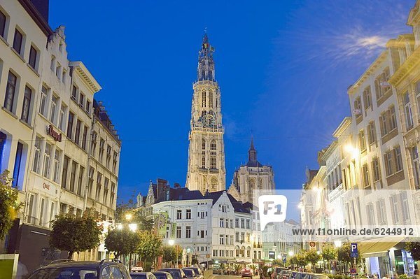 beleuchtet  Europa  Nacht  Straße  Antwerpen  Belgien  Flandern