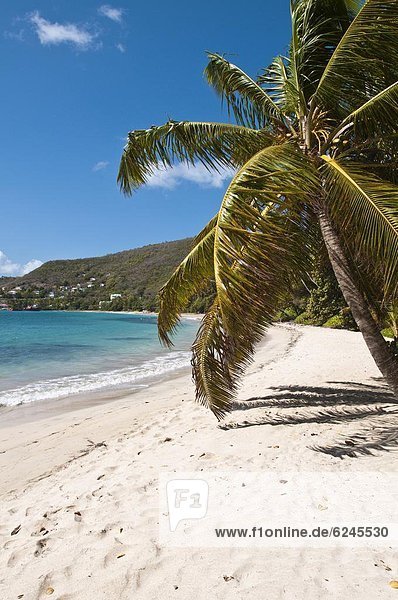 Friendship Bay Strand  Bequia  St. Vincent und die Grenadinen  Windward-Inseln  West Indies  Caribbean  Central America
