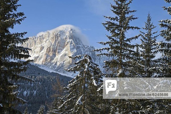 Europa  Dolomiten  Trentino Südtirol  Italien  Grödnertal