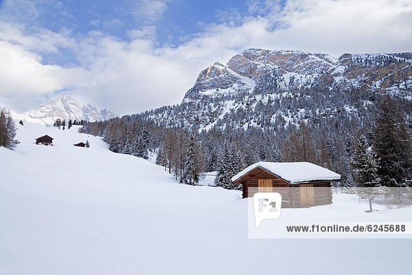 Hütte Europa Berg Winter bedecken Landschaft Dolomiten Trentino Südtirol Italien Schnee Grödnertal Trentino-Südtirol