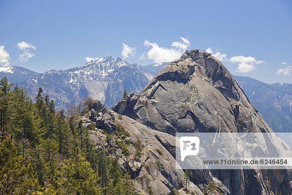 Vereinigte Staaten von Amerika  USA  hoch  oben  Felsbrocken  Berg  Nordamerika  Nevada  Sequoia Nationalpark  Kalifornien