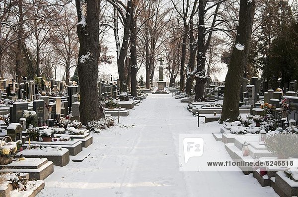 Verschneite Friedhof  Dorf Treboradice  Prag  Tschechische Republik  Europa