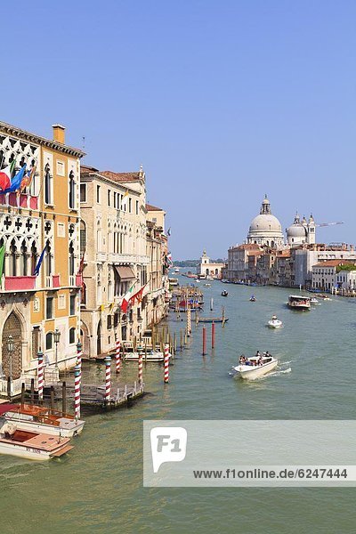 Der Canal Grande und die gewölbte Santa Maria Della Salute  Venedig  UNESCO World Heritage Site  Veneto  Italien  Europa