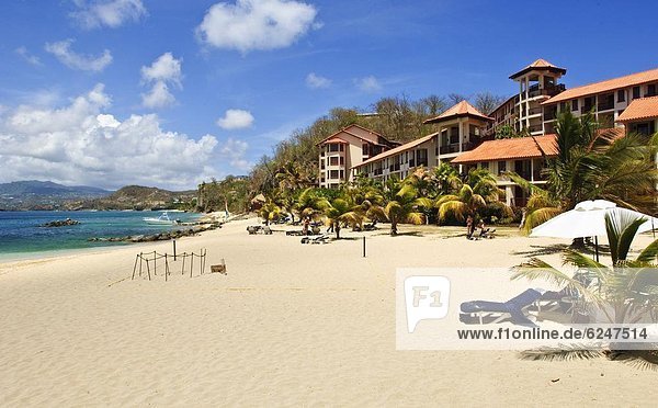 Karibik  Westindische Inseln  Mittelamerika  Grenada  Hauptstadt  Windward Islands