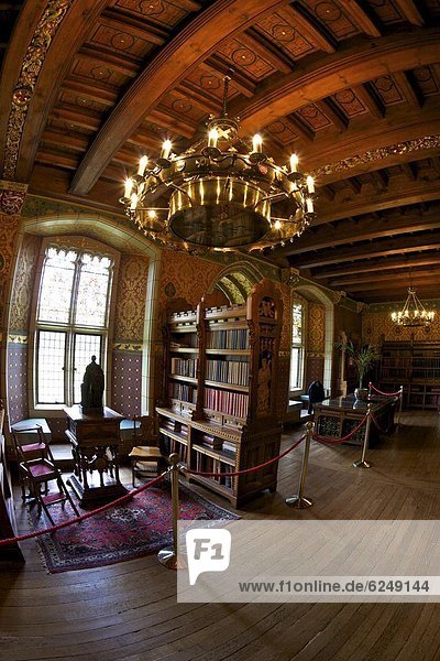 Library  interior of Cardiff Castle  South Glamorgan  Wales  United Kingdom  Europe