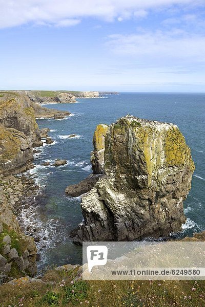 Europa Großbritannien Wales