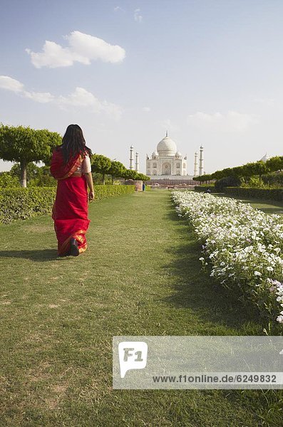 Woman in sari walking in Mehtab Bagh with Taj Mahal in background  UNESCO World Heritage Site  Agra  Uttar Pradesh  India  Asia
