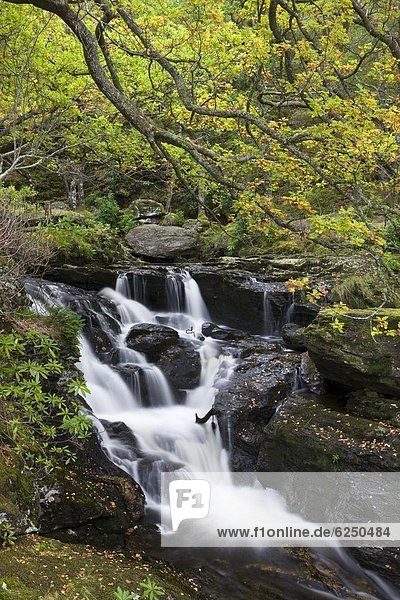 nahe  Wasser  Europa  Großbritannien  Wasserfall  See  Schottland  Stirling