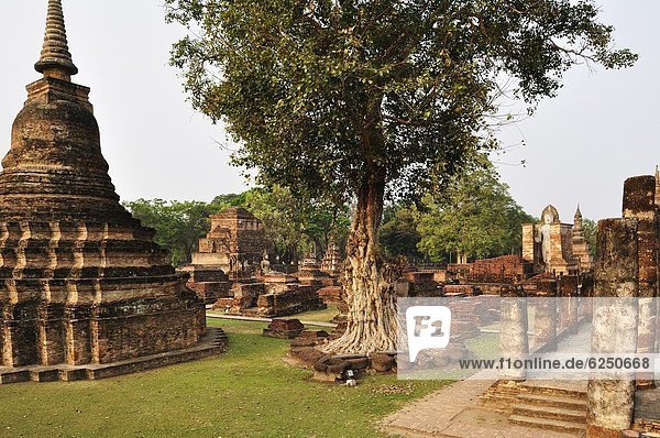 Südostasien  UNESCO-Welterbe  Asien  Sukhothai  Thailand  Wat Mahathat