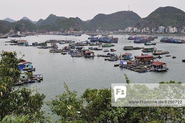 Hafen  fließen  Dorf  Südostasien  Asien